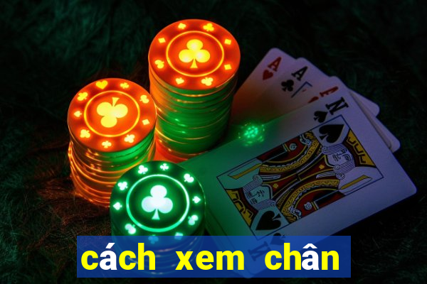 cách xem chân gà đá hay