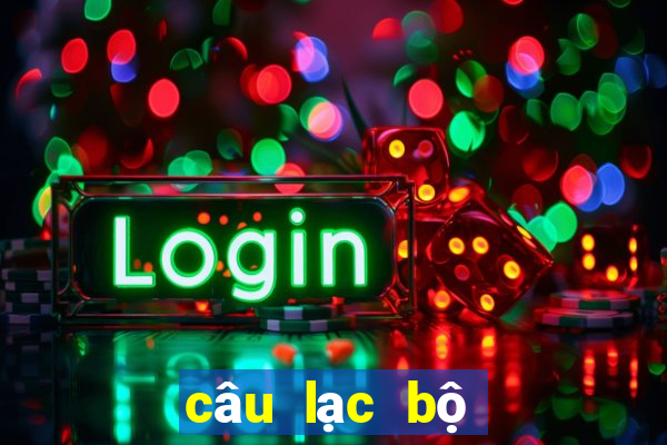 câu lạc bộ bóng đá hà nội