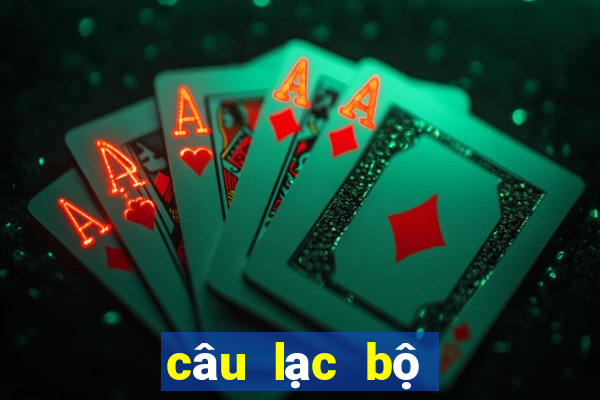 câu lạc bộ bóng đá hà nội