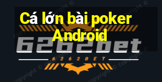 Cá lớn bài poker Android