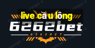 live cầu lông