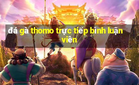 đá gà thomo trực tiếp bình luận viên