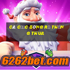 Cá cược bóng rổ thắng thua