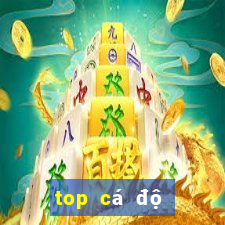 top cá độ bóng đá