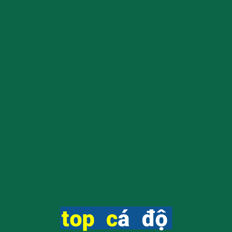 top cá độ bóng đá