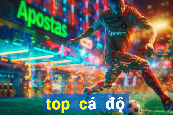 top cá độ bóng đá