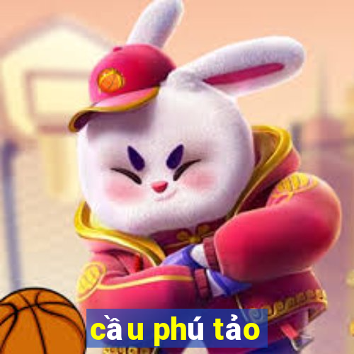 cầu phú tảo