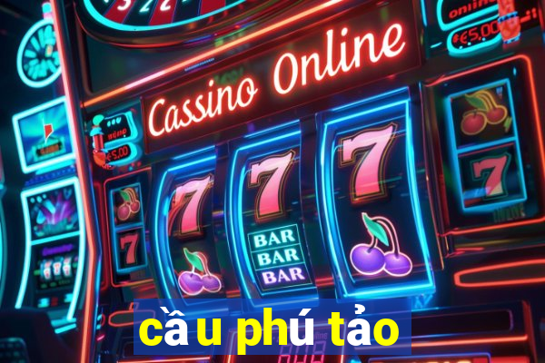 cầu phú tảo