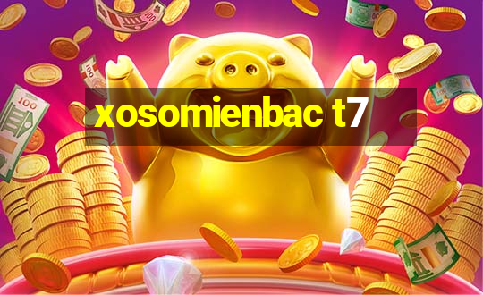 xosomienbac t7