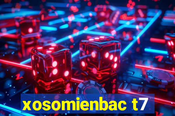 xosomienbac t7