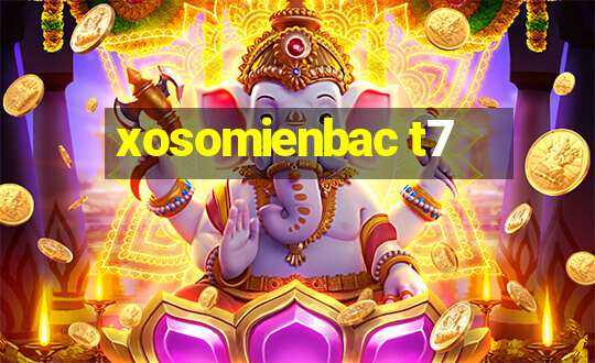 xosomienbac t7