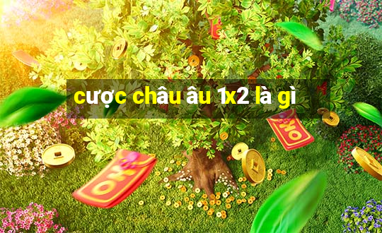 cược châu âu 1x2 là gì