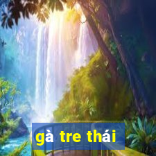 gà tre thái