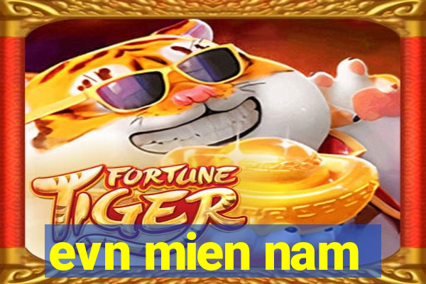 evn mien nam