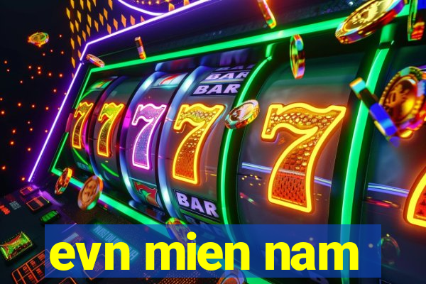 evn mien nam