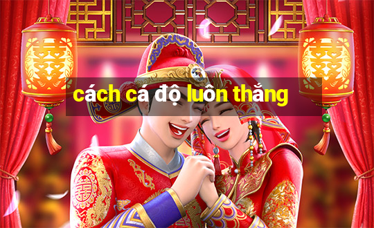 cách cá độ luôn thắng