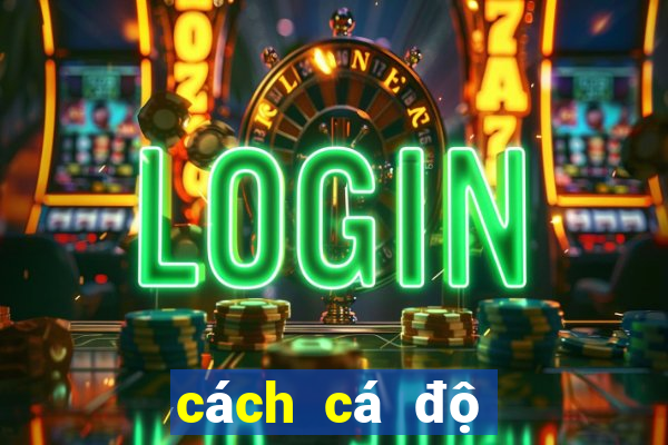 cách cá độ luôn thắng