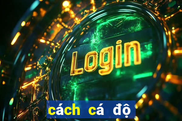 cách cá độ luôn thắng