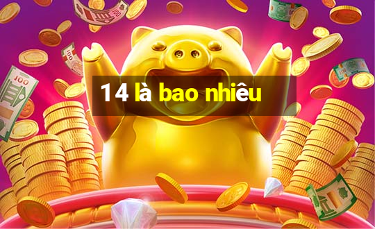 1 4 là bao nhiêu