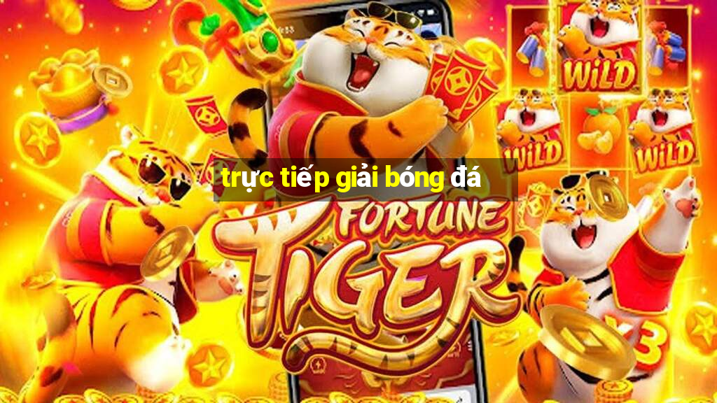 trực tiếp giải bóng đá