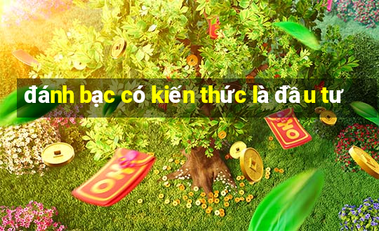 đánh bạc có kiến thức là đầu tư