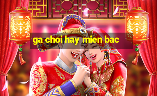 ga choi hay mien bac