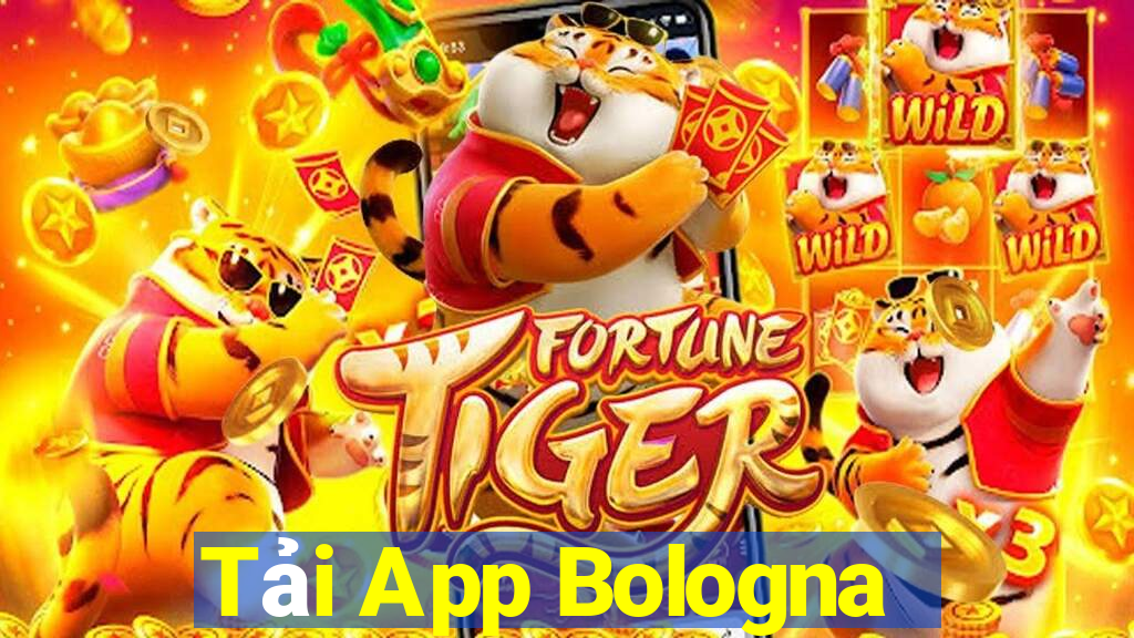 Tải App Bologna