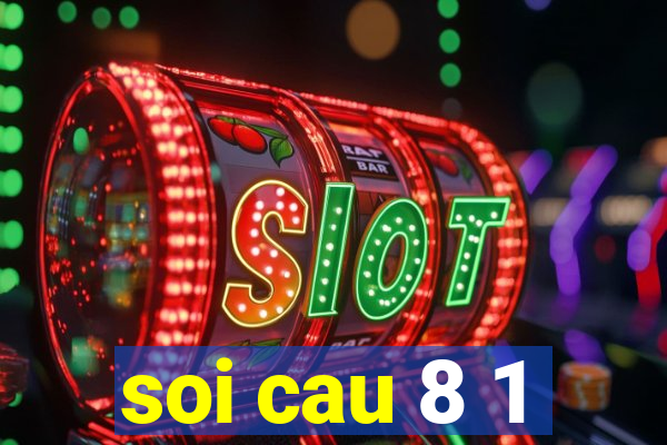 soi cau 8 1