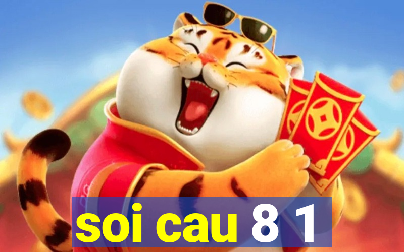 soi cau 8 1