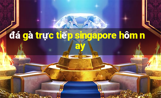 đá gà trực tiếp singapore hôm nay