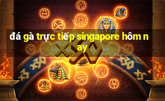 đá gà trực tiếp singapore hôm nay