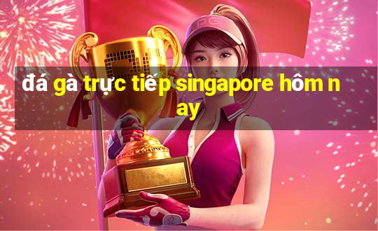 đá gà trực tiếp singapore hôm nay