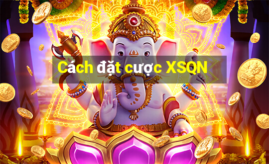 Cách đặt cược XSQN