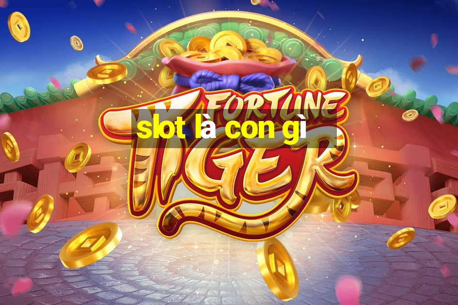 slot là con gì