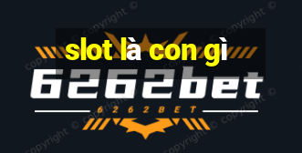 slot là con gì