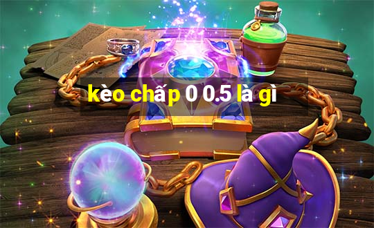 kèo chấp 0 0.5 là gì