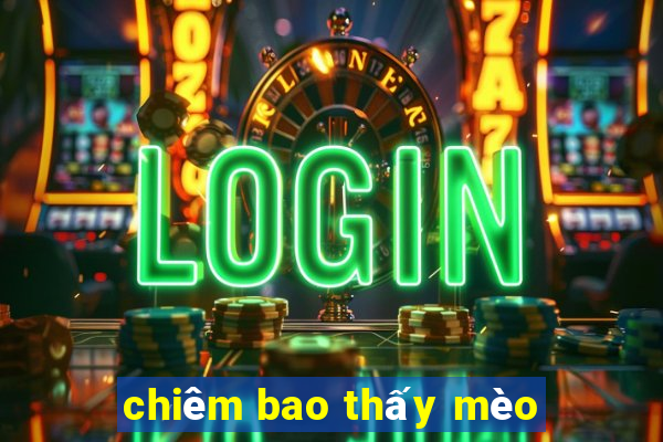 chiêm bao thấy mèo