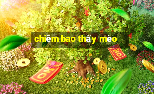 chiêm bao thấy mèo