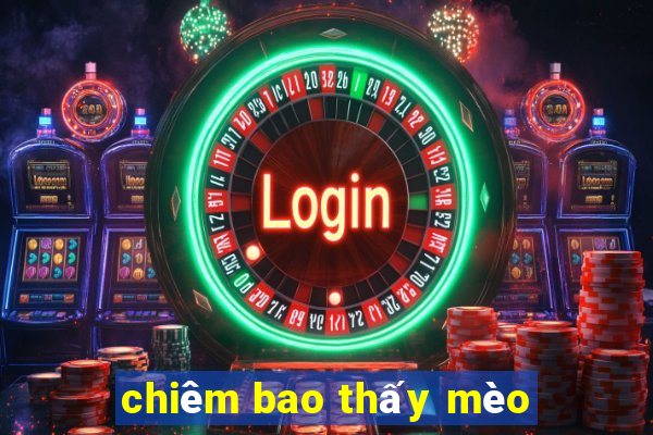 chiêm bao thấy mèo