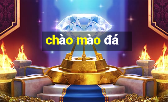 chào mào đá