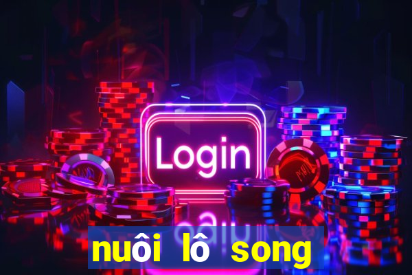 nuôi lô song thủ khung 2 ngày