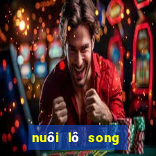 nuôi lô song thủ khung 2 ngày