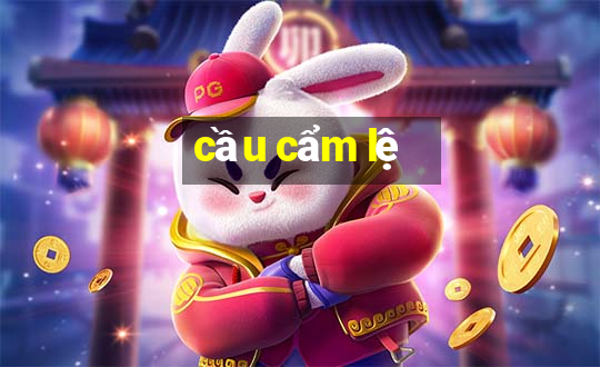 cầu cẩm lệ