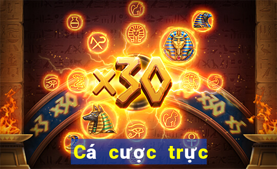 Cá cược trực tuyến sv88