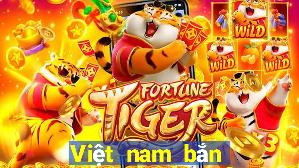 Việt nam bắn cá Trò chơi Tải về