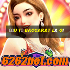 đầu từ baccarat là gì