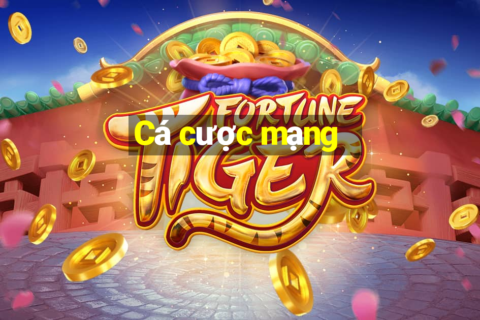 Cá cược mạng