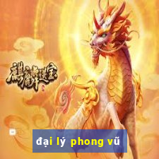 đại lý phong vũ