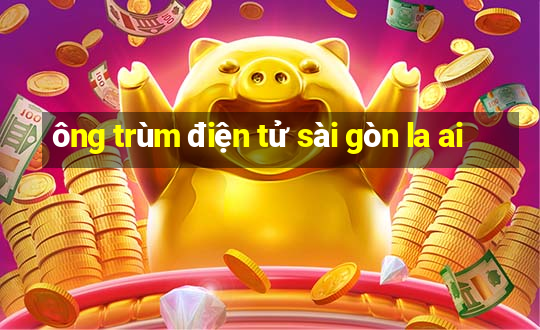 ông trùm điện tử sài gòn la ai