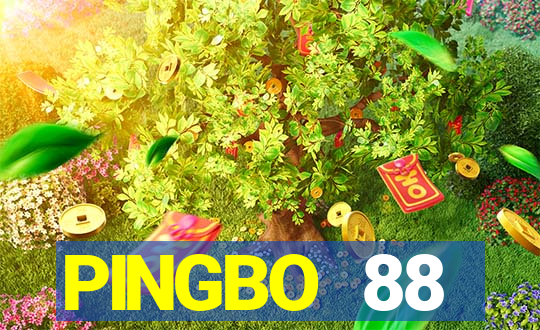 PINGBO 88 ENTERPRISE Việt nam